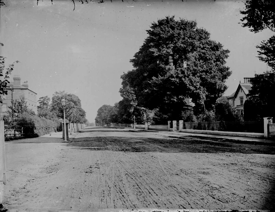 Bath Road, Reading, looking westwards, c. 1875