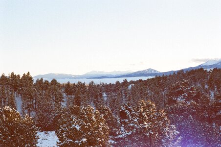 Mountains peaks trees