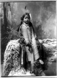 Battle in the Woods, full-length portrait, seated, facing slightly right LCCN92509850