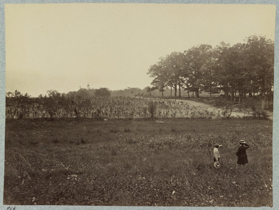 Battle-field of Gettysburg. Scene of General Reynold's death LCCN2012647706