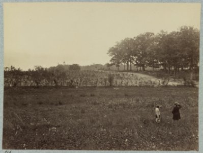 Battle-field of Gettysburg. Scene of General Reynold's death LCCN2012647706