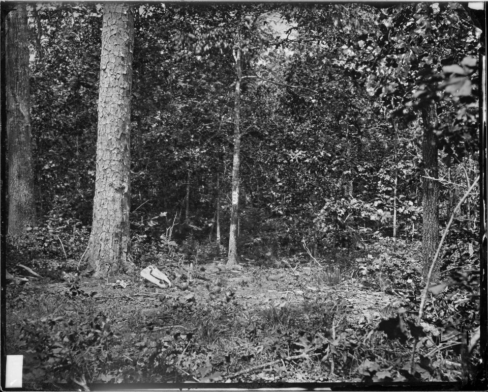 Battlefield of Atlanta, 1864, July 22, where Gen. McPherson was killed - NARA - 528859