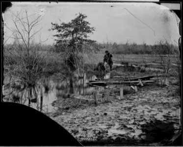 Battlefield of Bull Run, 1862 - NARA - 529254