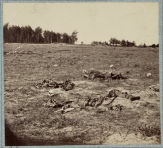 Battlefield of Gaines' Mill, Va LCCN2012647827 photo