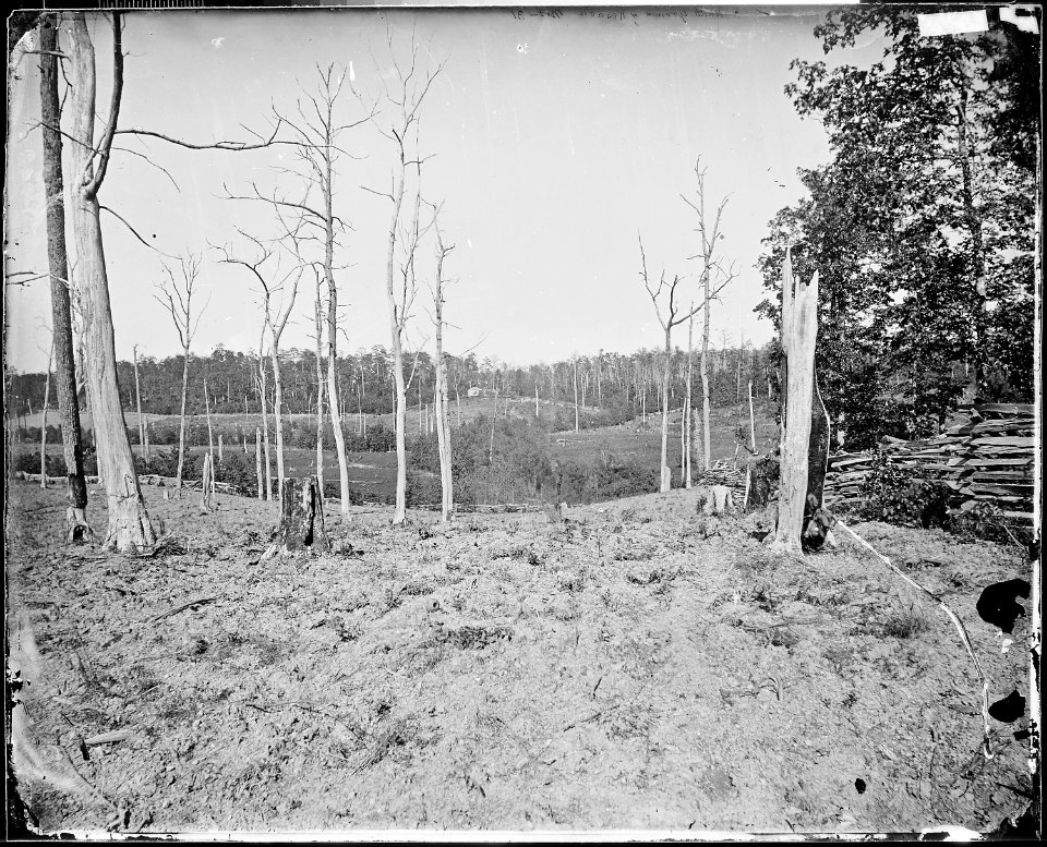 Battlefield of Resaca, Ga., 1864 - NARA - 528891
