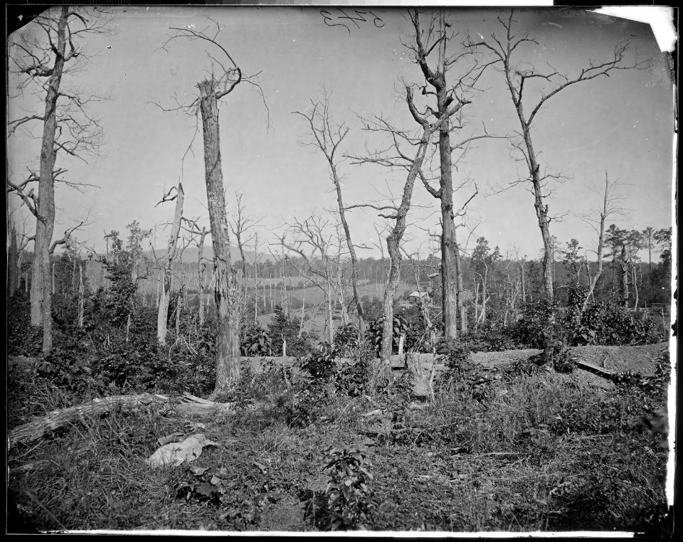Battlefield of Resaca, Ga.,1864 - NARA - 524953