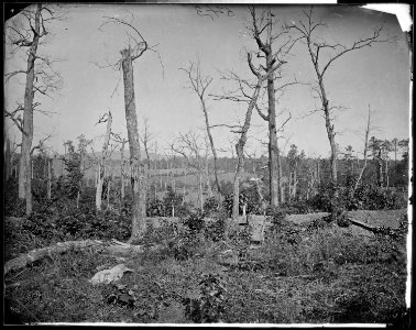 Battlefield of Resaca, Ga.,1864 - NARA - 524953