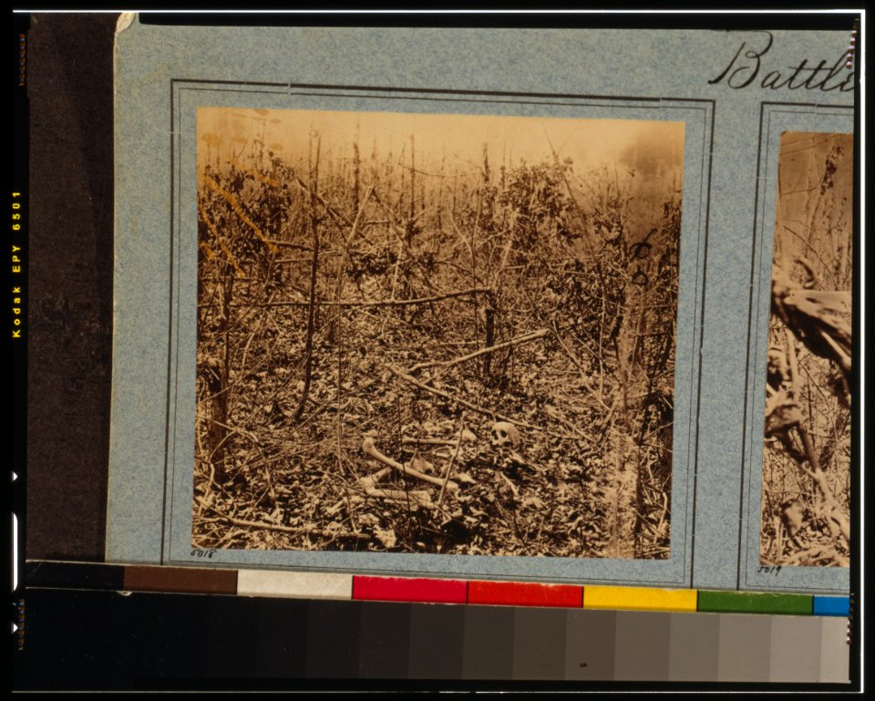 Battlefield of the Wilderness-Views in the woods in the Federal lines on north side of Orange Plank Road LCCN00652523