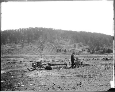 Battlefield, Missionary Ridge, Tenn. 1864 - NARA - 528914