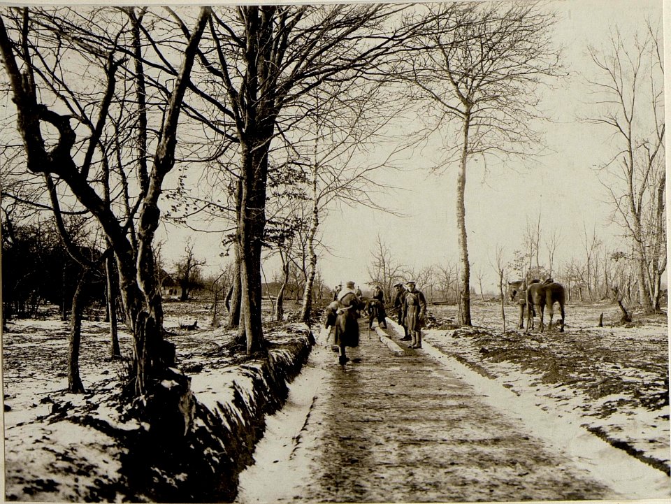 Bau der Feldbahn Pomorzany - Dunajow, 12.12.1916 (BildID 15542779)