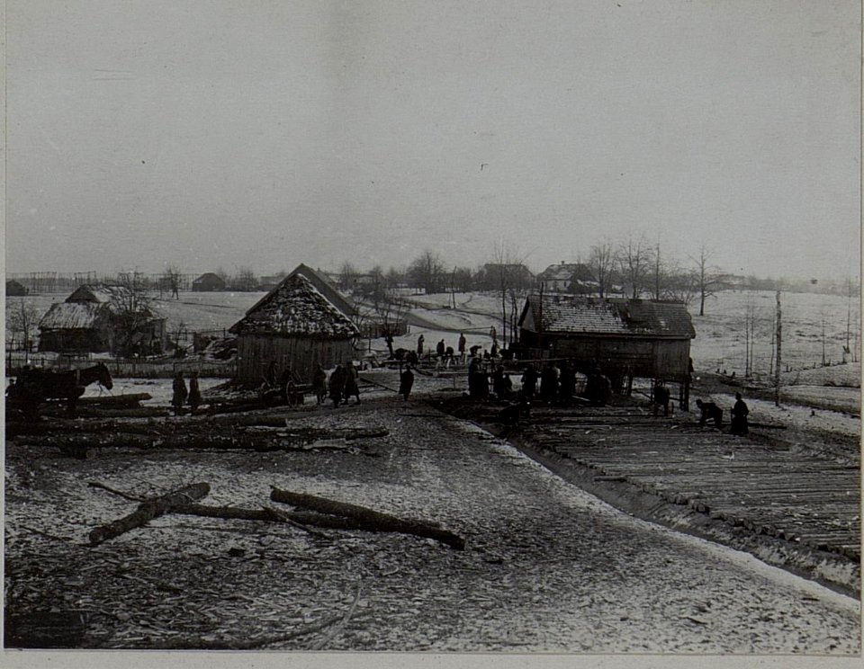 Bau eines Prügelweges in Kopcze (BildID 15456269)