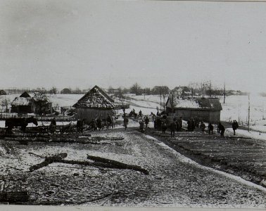 Bau eines Prügelweges in Kopcze (BildID 15456276)