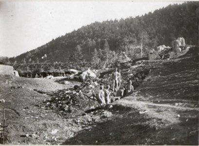 Bau von Laufgräben im Ternovanerwalde. 5.9.17. (BildID 15601968)