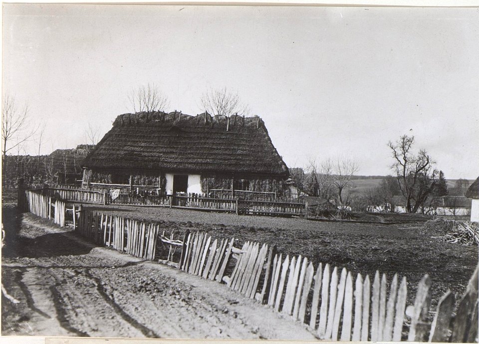 Bauernhaus in der Umgebung von Brzezany (BildID 15438208)