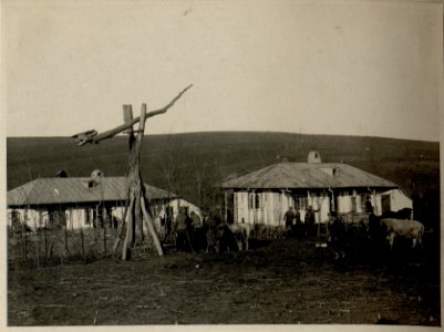 Bauernhaus in der Umgebung von Giurgiu - Uzun,14.12.1916 (BildID 15544902)