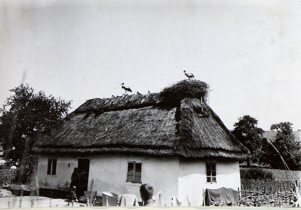 Bauernhaus in Litwinow südl.Brzezany mit Storchnest I. (BildID 15727299)
