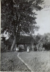 Bauernhaus in Rohatyn an der Gnila Lipa. (BildID 15727425)