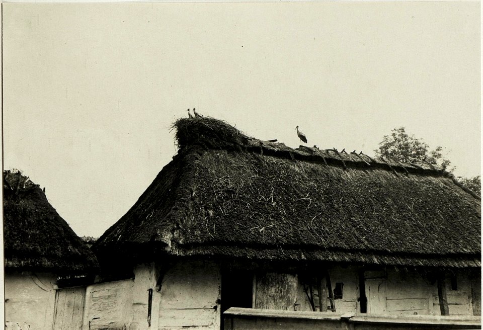 Bauernhaus an der Strasse Stryj-Zydaczow. (BildID 15431562)