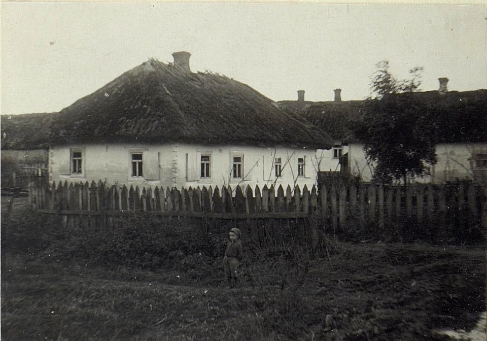 Bauernhäuser in Rylovicza (BildID 15694447)