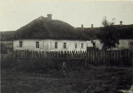 Bauernhäuser in Rylovicza (BildID 15694447)