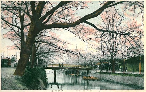 Baum 1913