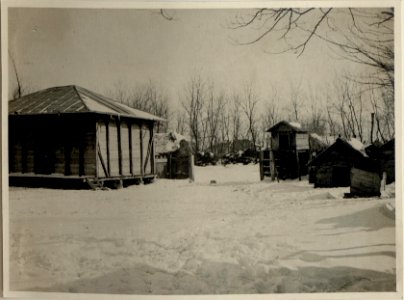 Bauernhof in Rumänien, wahrscheinlich Tabarasti, aufgenommen am 8.2.1917 (BildID 15545105)