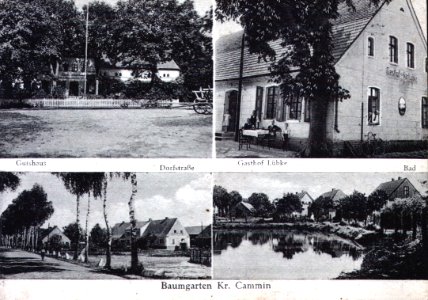 Baumgarten 1941 10 24 Kr Cammin photo