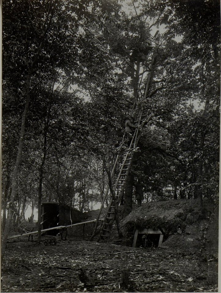 Baumbeobachtungsstand des 23. Inf.Brigadekommandos in MEDWEDOWCE. Brigadier am Beobachtungsstand. (BildID 15450729)