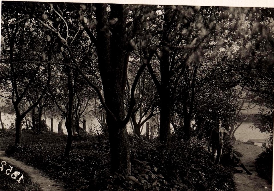 Baumgartenpartie in Wladimir-Wolynskij. (28-II.1918.) (BildID 15712534)