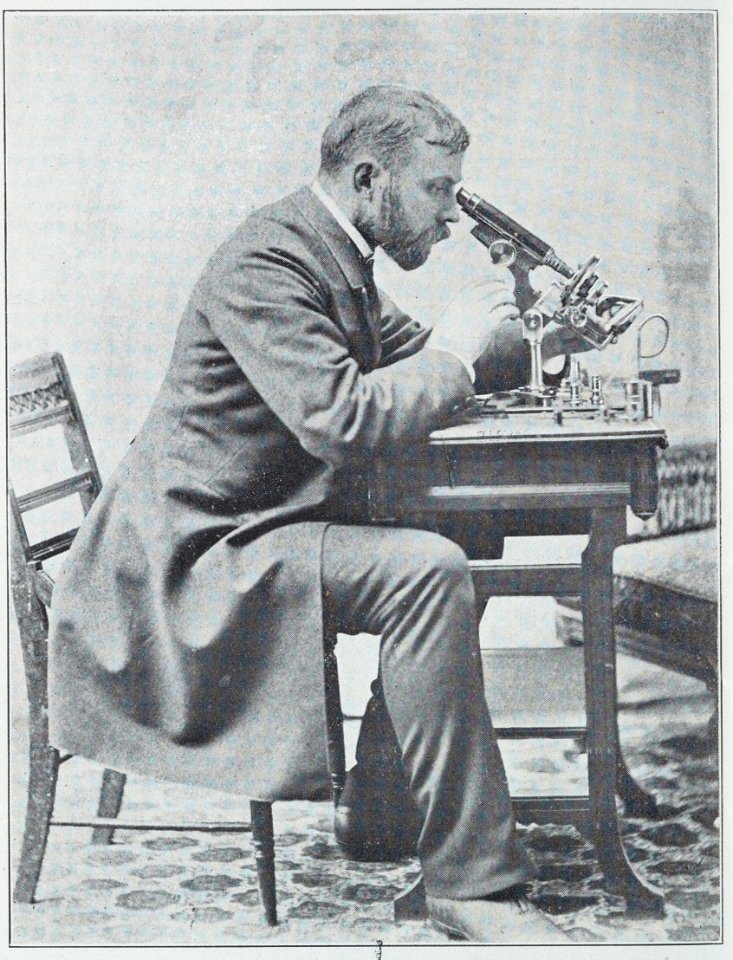 Bayard Taylor Holmes