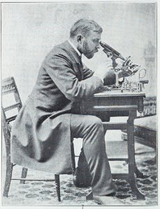 Bayard Taylor Holmes