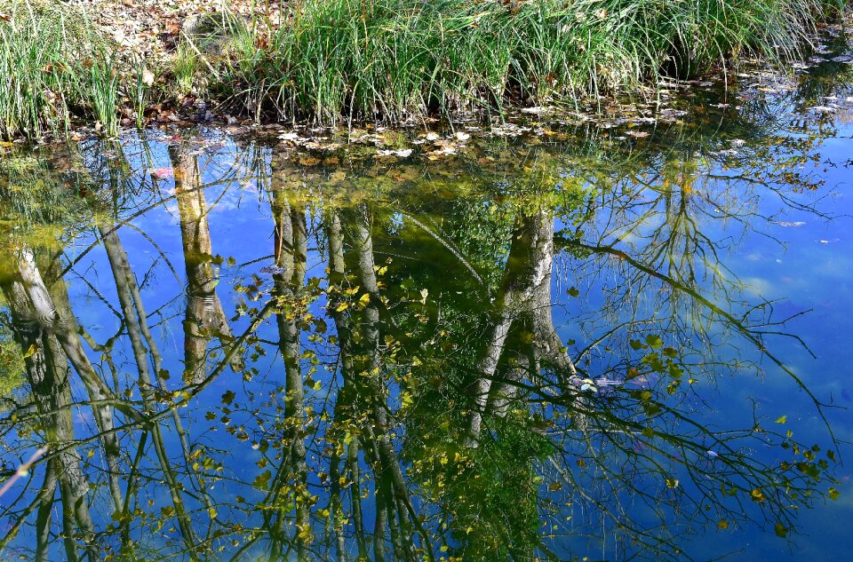 Reflections lake park