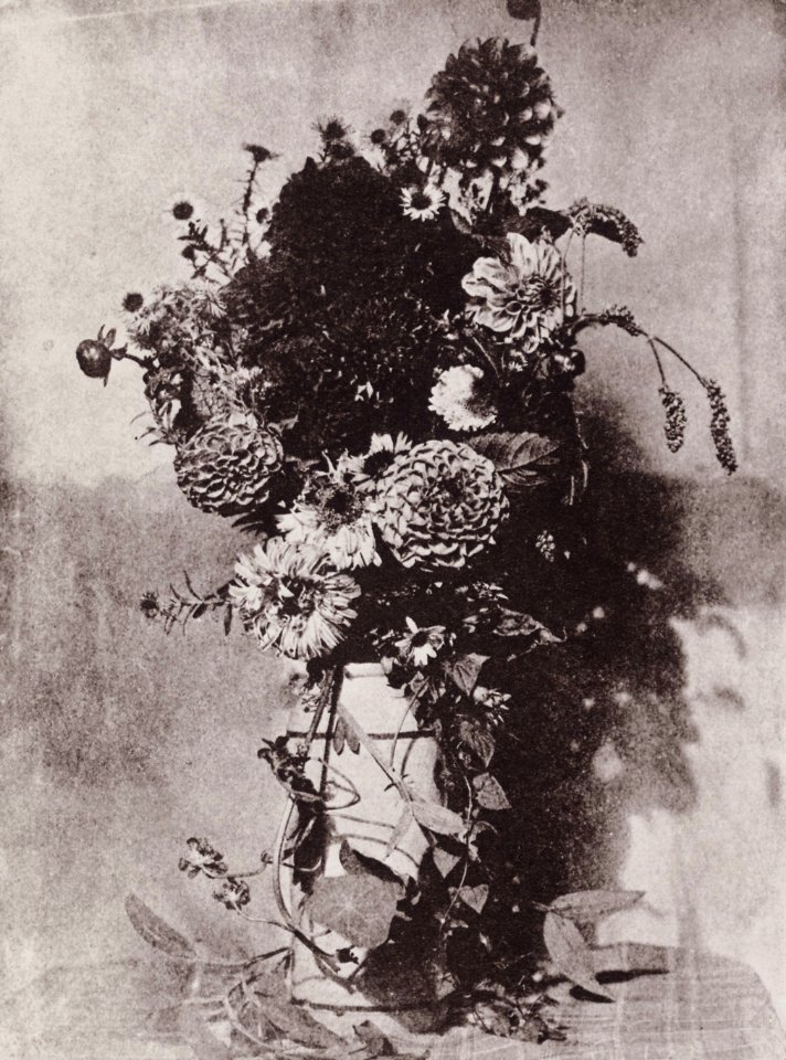 Bayard, Hippolyte - Stilleben mit Blumen (Zeno Fotografie)