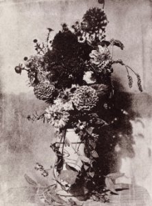 Bayard, Hippolyte - Stilleben mit Blumen (Zeno Fotografie)