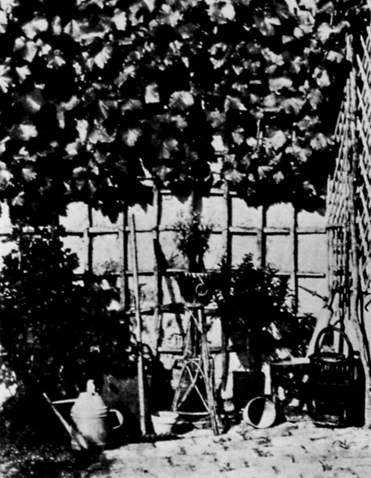 Bayard, Hippolyte - Gartenhof (Zeno Fotografie)