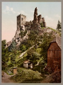 Bayr Wald Ruine Weissenstein B. Regen LOC ppmsca.52638