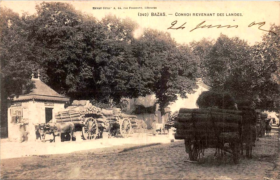 Bazas - convoi venant des Landes