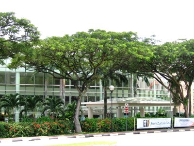 NUS, University Cultural Centre, Nov 06