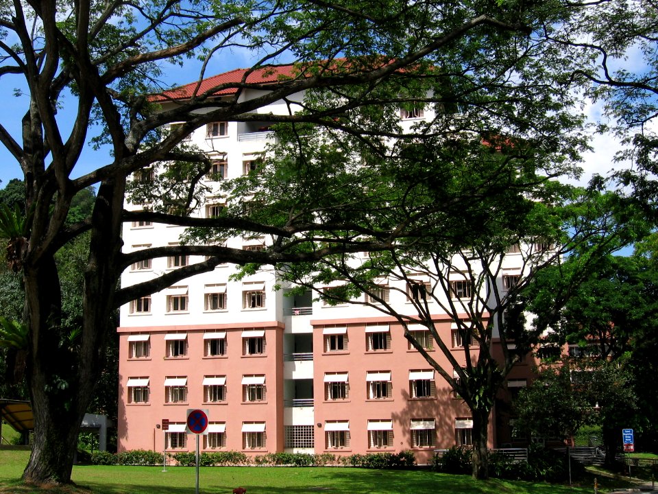 NUS, Ridge View Residences, Nov 06