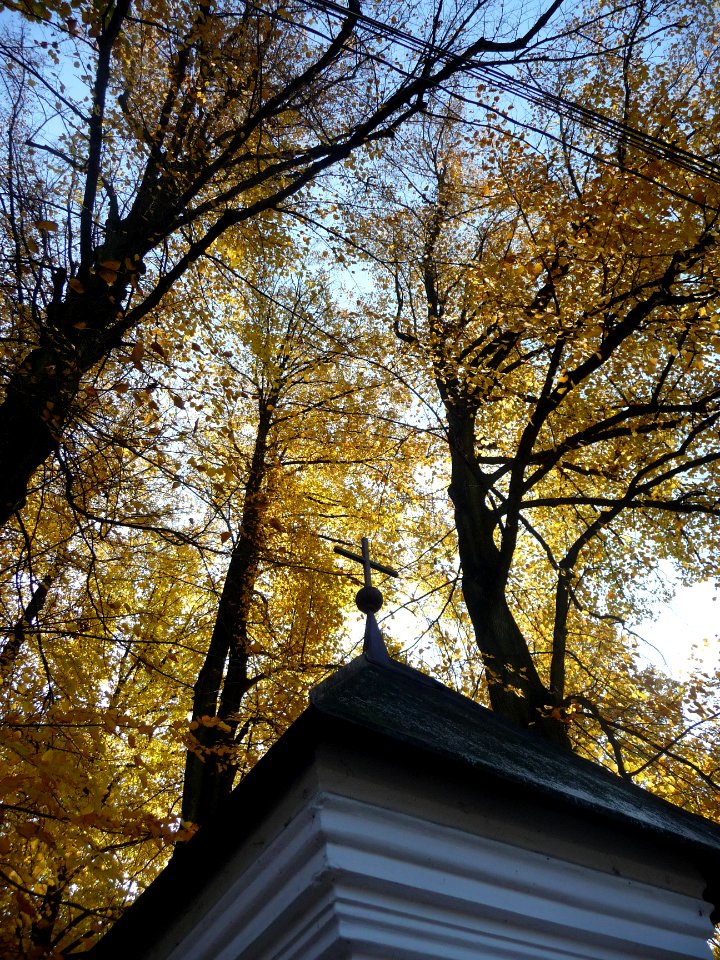 Národný cintorín-park