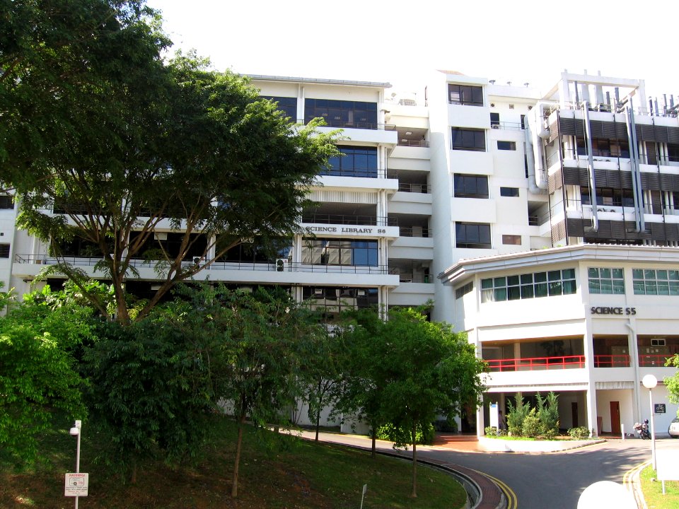 NUS, Science, Nov 06
