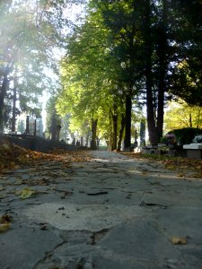 Národný cintorín