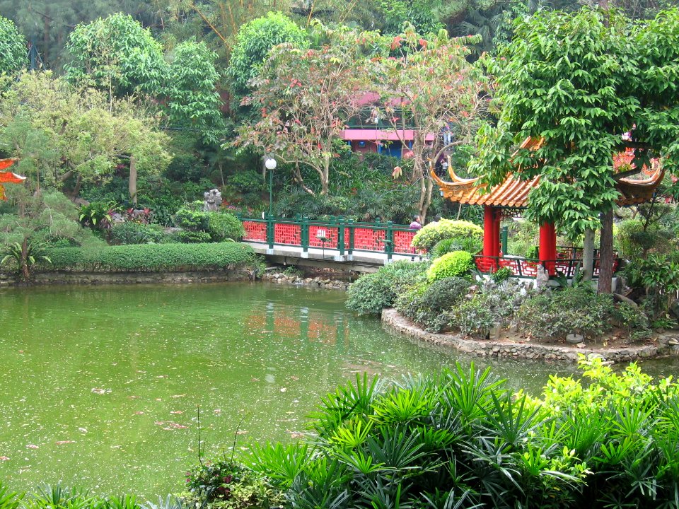 Ocean Park 22, Hong Kong, Mar 06