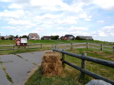 Oland vom Hafen aus