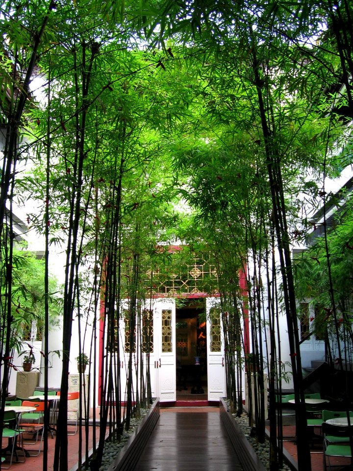 Old Thong Chai Medical Institution 4, Mar 06