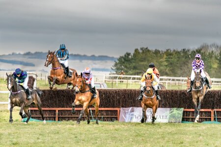 Jockey thoroughbred competition photo