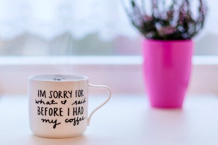 Apologize apology aroma