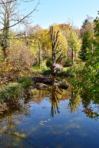 Reflections lake park photo