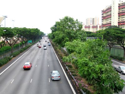 Pan Island Expressway 2, Aug 06 photo