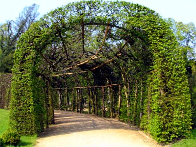 Park Sanssouci Passage